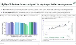 拜耳医药爆料最新消息新闻,重大研发突破与市场动态解读